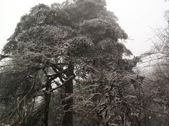 -峨眉山风景名胜区