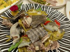 雪菜炒甲鱼-金八仙酒店