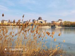 -莲花池公园