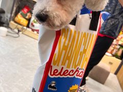 -PETKIT 小佩宠物·低压洗护·美容·寄养(安远店)