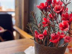 -六阅·福十 FORTEN 海景咖啡西餐厅(双廊古镇店)