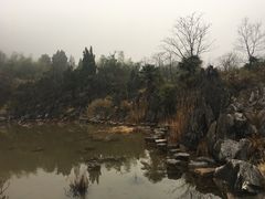 -千岛湖石林