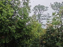 -火炉山森林公园