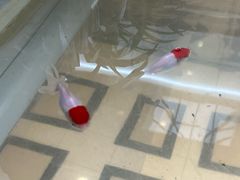 -慈铭体检(北京奥亚分院)
