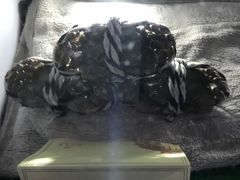 -南宁邕江宾馆