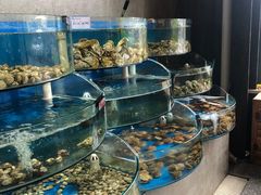 水产区-蓝珊甄选海鲜自助·火锅大排档(近阿那亚店)