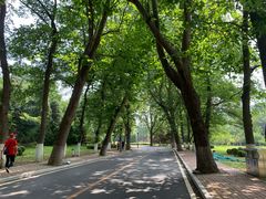-棒棰岛宾馆景区