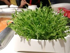 -海底捞火锅(玉桥商业广场店)