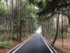 -崇阳三特浪口温泉