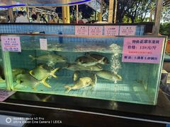 水产区-荔城生鲜盛宴(番禺旗舰店)