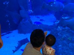 -成都浩海立方海洋公园