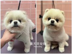 -FAELING PETS美天灵宠物(合生汇店)