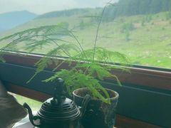 -云座·时光·观景咖啡厅(五爷庙店)