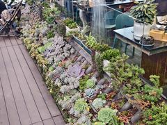 -野菌皇海景野生菌火锅(滨海大道店)
