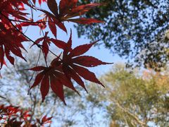 -南山风景名胜区