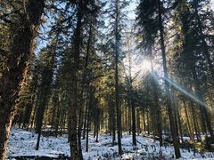 -硗碛藏寨·神木垒景区