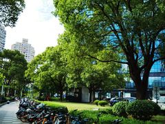 -1点点(大连路店)