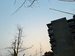 -尊品牛排(沙湾印象汇店)