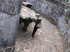 -杭州动物园