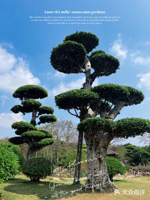 南宁南湖公园图片