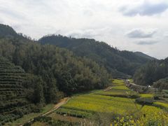 -新安江山水画廊风景区