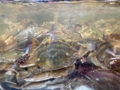 -盒马鲜生(枣园路店)