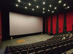 -上影国际影城(普陀绿地缤纷城店)