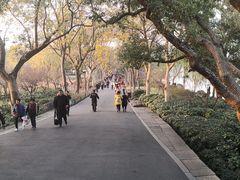 -苏堤停车场