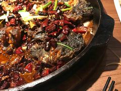 -老板恋上鱼(印象城店)