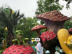 -苏州乐园森林水世界