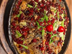 -老板恋上鱼(恒隆广场店)