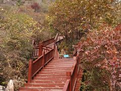 -十渡东湖港风景区