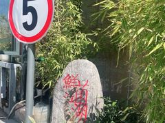 -鲜菌江湖正宗野生菌火锅