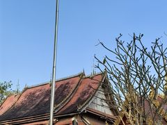 -西双版纳傣族园