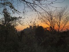 -杭州半山国家森林公园