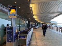 -约翰·菲茨杰拉德·肯尼迪国际机场