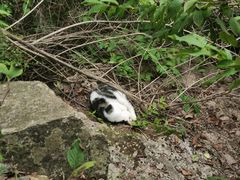 -崂山九水游览区
