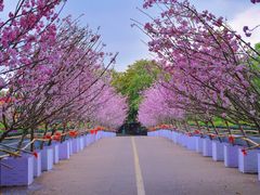 -观澜湖生态运动公社