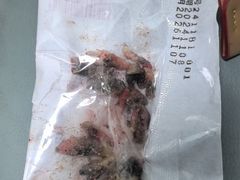 -北京观赏动物医院·24小时大型综合·猫专科·异宠专科
