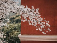 -浙江省杭州高级中学(贡院校区)