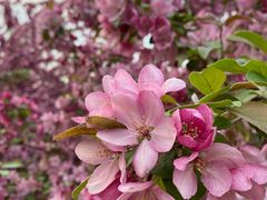 -元大都城垣遗址公园