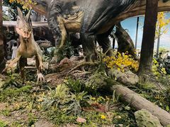 -湖南省地质博物馆