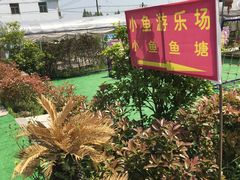 -小鱼草莓采摘园农家乐·小鱼餐厅