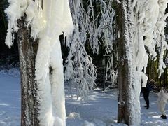 -楠溪江风景名胜区