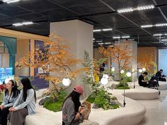 -帕帕拉兹宠物(亚洲旗舰店)