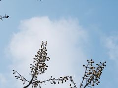 -福道