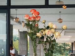 -四川师范大学（成龙校区）-图书馆