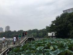 -包公祠