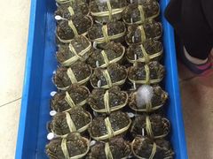 -阳澄湖大闸蟹·琼灵阁牌品牌连锁(吴中总店)