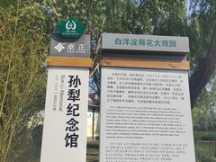 -白洋淀景区